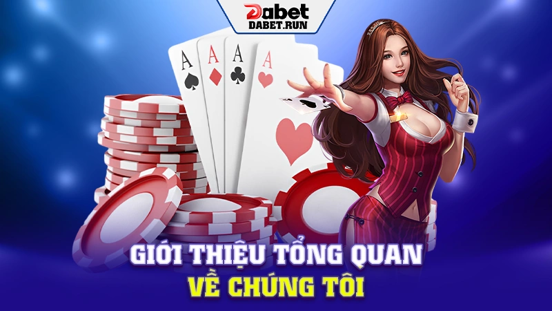 Giới thiệu tổng quan về chúng tôi
